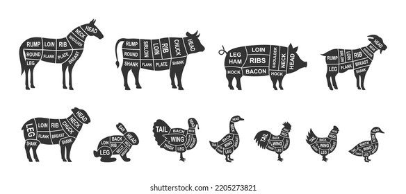 Set of farm animals scheme cuts. Pig, Horse, Turkey, Goat, Sheep, Chicken, Rooster, Duck, Rabbit, Goose, Cow cuts of meats. Meat diagram illustration