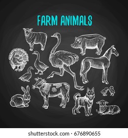 Conjunto de animales de granja en el estilo de la tiza en una pizarra. Dibujo vectorial de animales de granja con vaca, oveja, cerdo, caballo, avestruz, perro guardián, pato, conejo, ganso, pavo, cordero, cerdo.