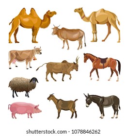 Set of farm animals. Vector illustration isolated on white background