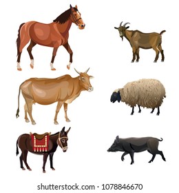 Set of farm animals. Vector illustration isolated on white background