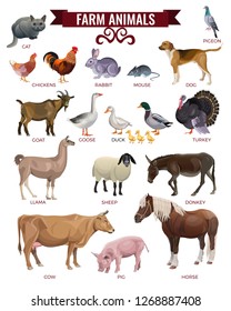 Set of farm animals. Vector illustration isolated on white background