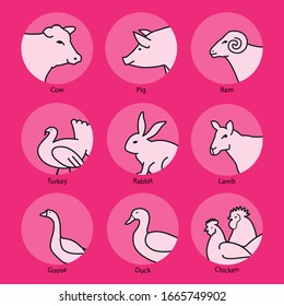 Set of farm animals. Vector illustration. Ready for your design. EPS10.