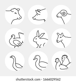 Set of farm animals. Vector illustration. Ready for your design. EPS10.