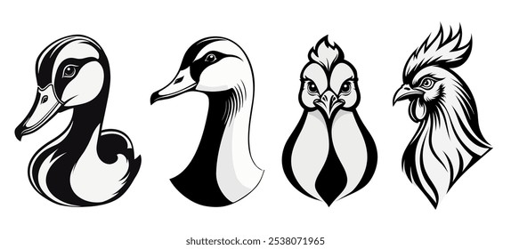 Set of farm birds, black and white. Duck, goose, hen, rooster