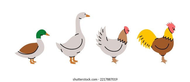 Set of farm birds. Chicken, Rooster, Duck, Goose silhouettes. Farm animals character set isolated on white background.