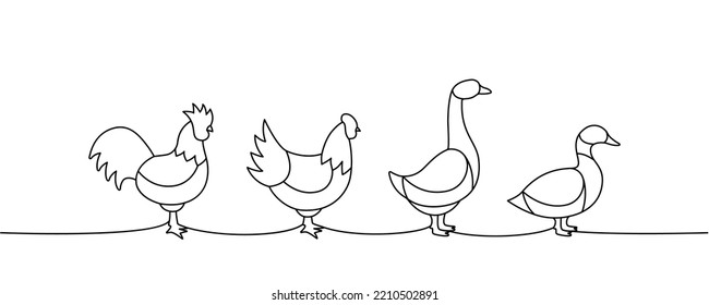 Set of farm birds one line continuous drawing. Chicken, Rooster, Duck, Goose silhouettes. Farm animals continuous one line illustration.