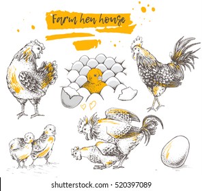 Set of farm chicken family. Rooster and brood. Mating of rooster and hen. Chicken with eggs. Ribbon with text. Vector illustration on white background for your design. Hand drawning. Trace pictures