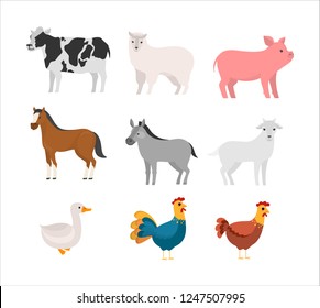 Set of farm domestic animal. Collection of cute pet animal. Cow and horse, pig and goose. Isolated flat vector illustration