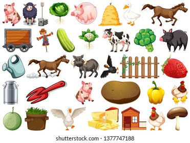 Set of farm element illustration