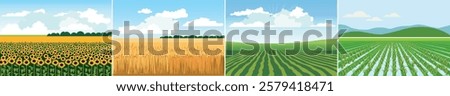 Set of farm fields with wheat, sunflower, rows of seedlings, and rice. Horizontal panoramic landscapes. Set of agricultural landscapes in vector image