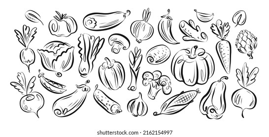 Set farm vegetables vector. Vegan organic food collection hand drawn in linear decorative style