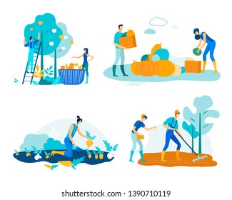 Set Farm Work Harvesting Vector Illustration. People Harvest Apples and Pumpkins in Baskets and Crates. Woman Collects Roots on Field. Pair Loosens Soil and Sows Seeds. Cartoon Flat.