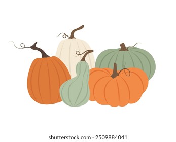 Set of a farm-fresh pumpkin for autumnal celebrations. Vector illustration for autumn season and traditional harvest themes