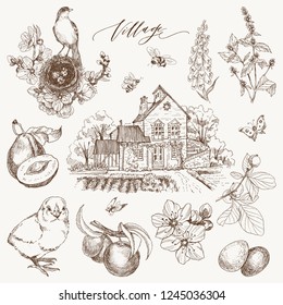 Set of farmhouse, organic food, chicken and garden flowers and fruits illustration. Hand drawn illustration in vintage style. Bird nest, eggs, bees, berry and butterfly. Village lettering inscription