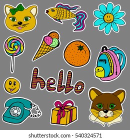 A set of fashion labels, badges. Cat, cougar, fish, flower, camomile, candy, ice cream, orange, backpack, hello, smiley, gift, old phone. Stickers, pins