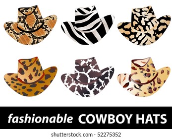 set of fashionable cowboy hats in wild style