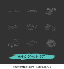 Set of fauna icons line style symbols with sea urchin, marlin, walrus and other icons for your web mobile app logo design.