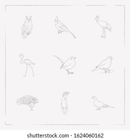 Set of fauna icons line style symbols with crane bird, cockatoo, tailor bird and other icons for your web mobile app logo design.