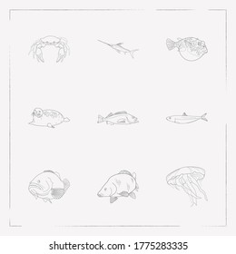 Set of fauna icons line style symbols with harbor seal, carp, sardine and other icons for your web mobile app logo design.