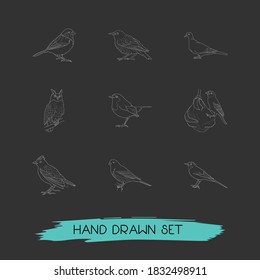 Set of fauna icons line style symbols with sparrow, wagtail, dove and other icons for your web mobile app logo design.
