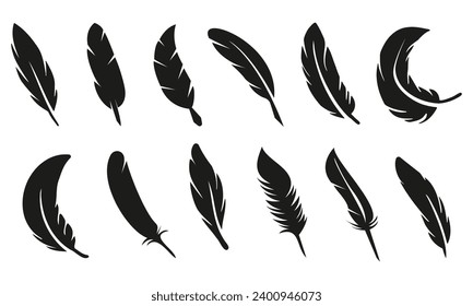 conjunto de plumas, conjunto de vectores de plumas de aves	