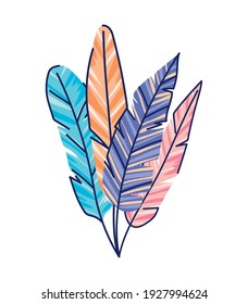 set of feather of different colors vector illustration design