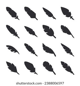 set of feather icon on white