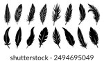 Set of feather icons. Black feather silhouettes vector art illustration with a white background