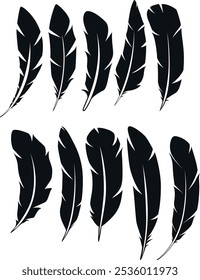 Set of feather icons. Black feather silhouettes vector art illustration with a white background, bird feather vector