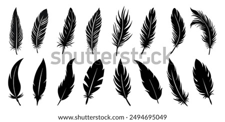 Set of feather icons. Black feather silhouettes vector art illustration with a white background