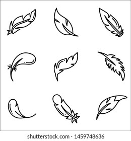Set of feather on white background.