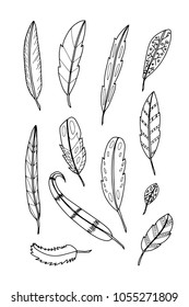 Set of feather on white background.vector illustration.