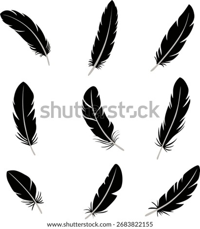 A set of feather silhouettes, feathers of various shapes vector illustration