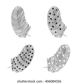Set of  feather silhouettes on a white background. Hand-drawn vector illustration. Sketch, four variants.