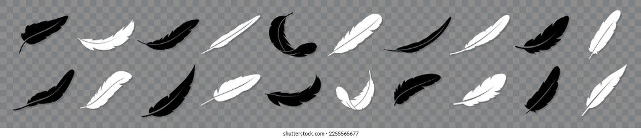 Set of Feather silhouettes. Vector illustration