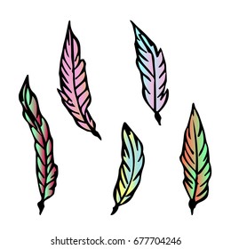 Set of Feather vector illustration on white background. Doodle style. Design icon, print, logo, poster, symbol, decor, textile, paper, card. 