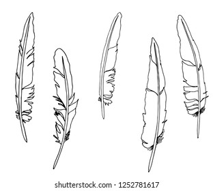 Set of feathers.