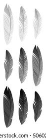 Set of feathers