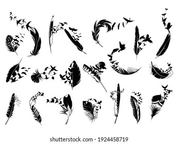 Set of feathers with birds flying away. Collection of stylized feathers with a flock of birds. Vector illustration isolated on white background. Tattoo.