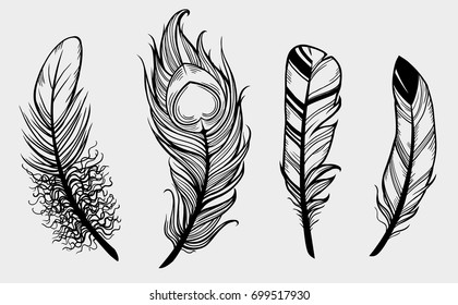 Set feathers black and white graphic drawing. Vector.