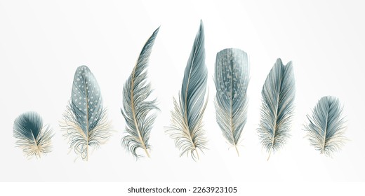 Set feathers the color of a sea wave with golden. Vector illustration.