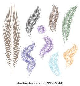 set of feathers  colorful feathers