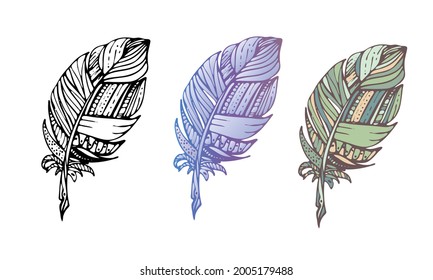 Set of feathers. Coloring page with color option. Vector illustration  with patterns and small details. Designing for clothes, tattoo, print, posters, cards, stickers