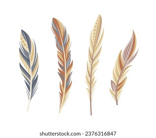 Concepto de juego de plumas. Parte de las alas de los pájaros. Elemento de decoración para la ropa india. Biología y ornitología. Afiche o pancarta. Colección vectorial plana de dibujos animados aislada en fondo blanco