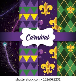 set feathers with geometirc figures and mardi gras emblem background