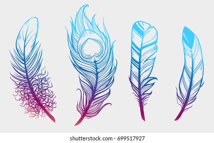 Set feathers gradient graphic drawing. Vector.