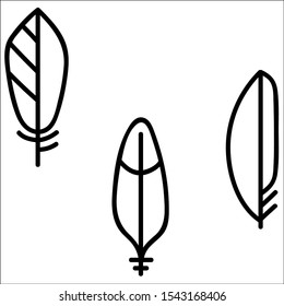 Set of feathers hand drawn illustration. Doodle sketch.
