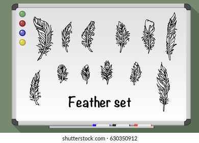 Set of feathers hand drawn on whiteboard. Decorative feathers. Vector stock illustration