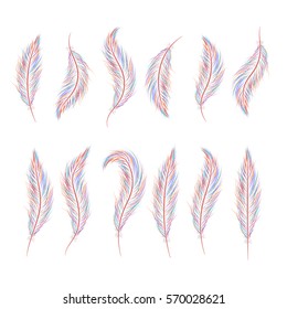 set of feathers are hand-drawn on a white background.