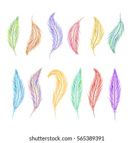 set of feathers hand-painted in different colors.